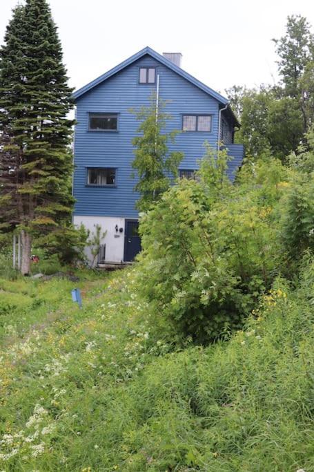 Cozy Family House Villa Tromsø Buitenkant foto